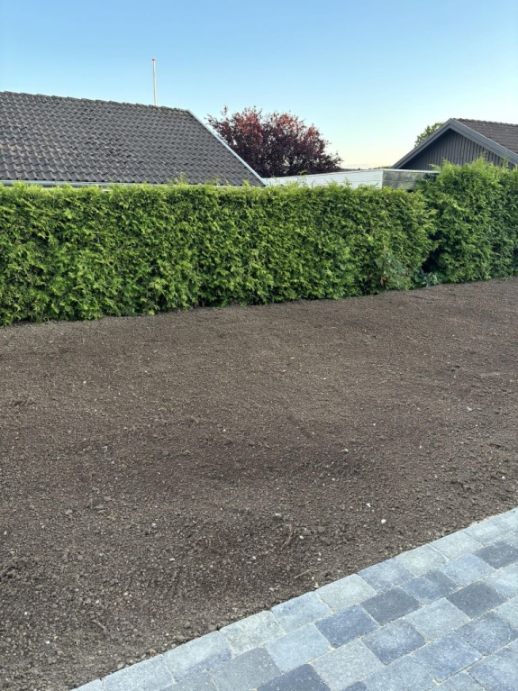 anlægning af ny græsplæne i slagelse